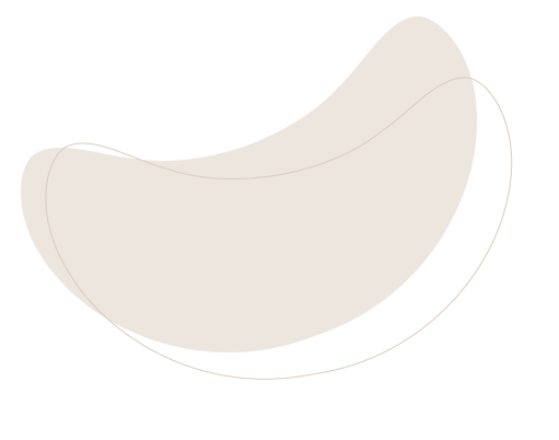 layout-slider3-021.png
