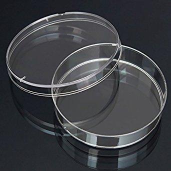 Petri Dish
