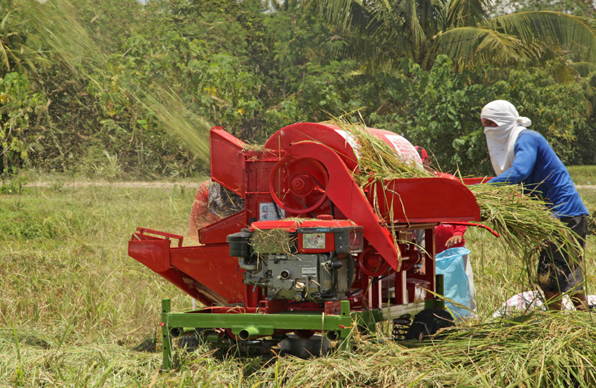 Thresher